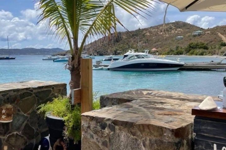 a group of palm trees next to a body of water
